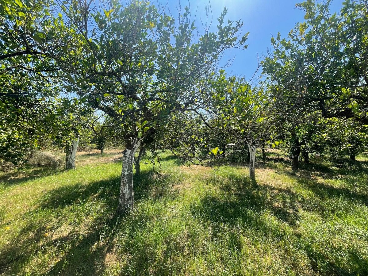 3 Bed Semi-Detached House in Pizarra