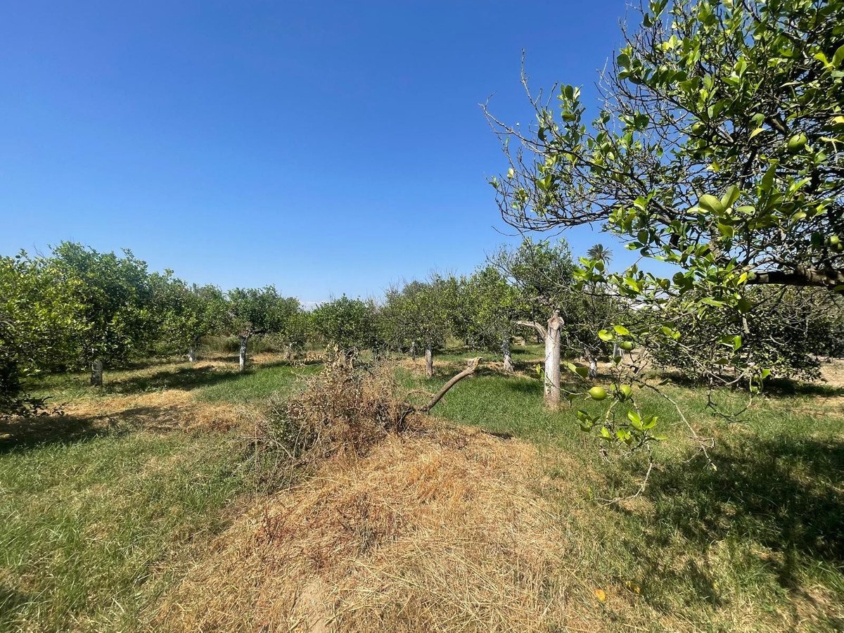 3 Bed Semi-Detached House in Pizarra