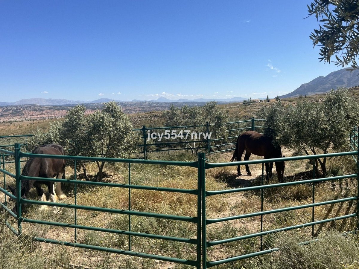 4 Bed Finca - Cortijo in Freila