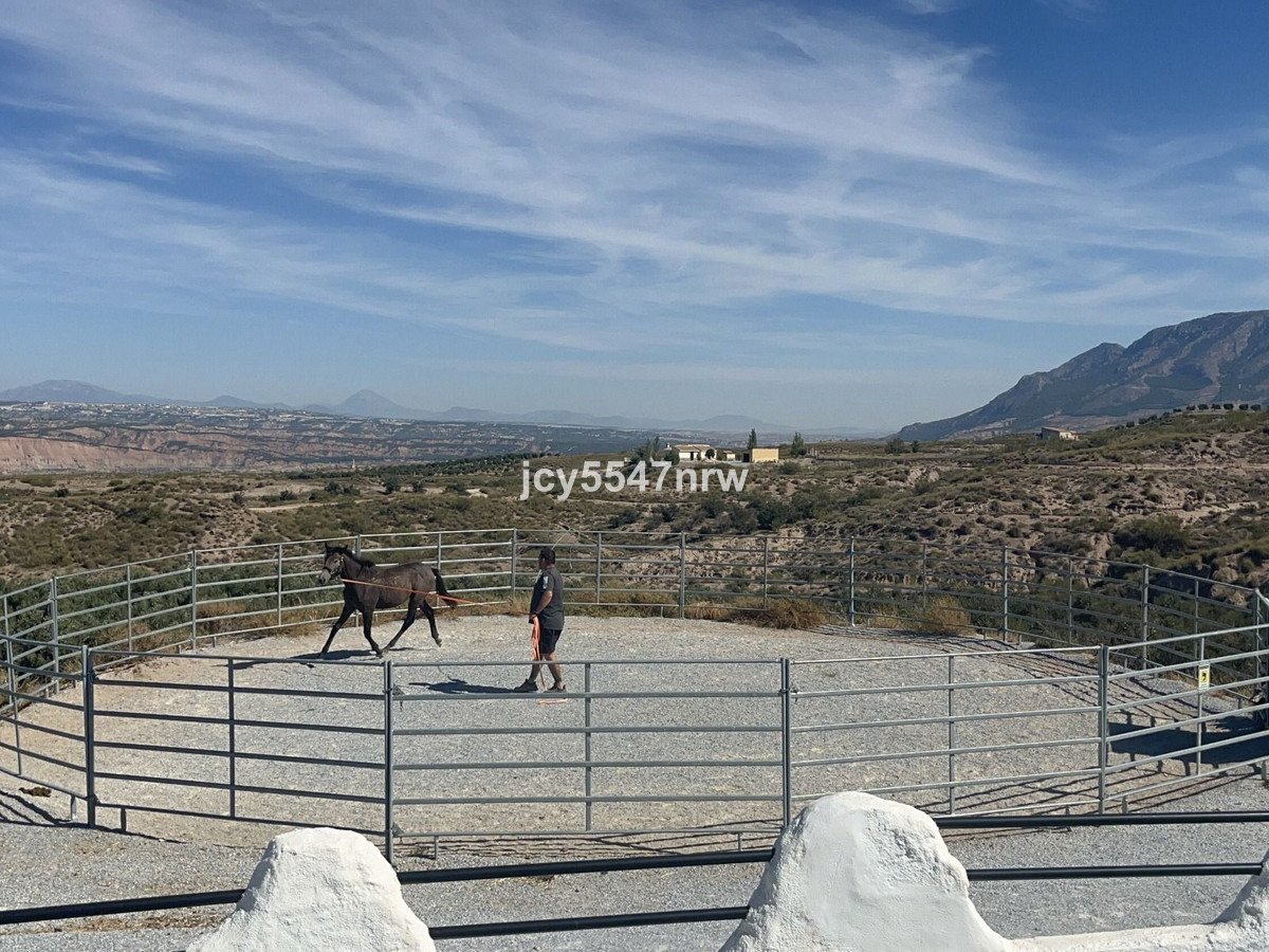 4 Bed Finca - Cortijo in Freila
