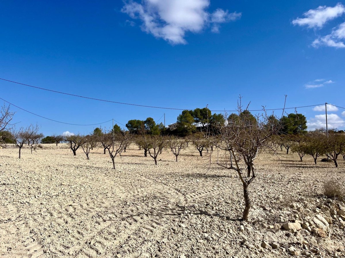 Land in Bullas