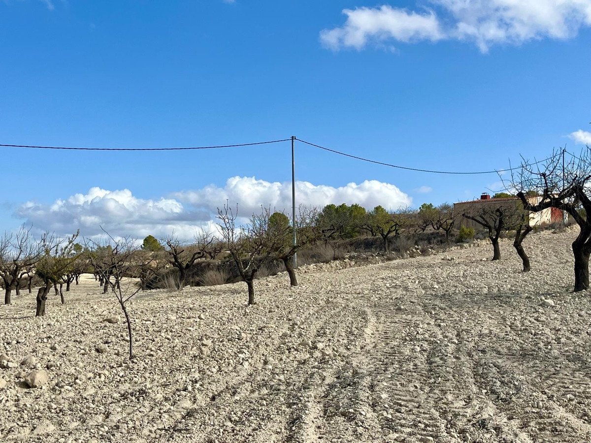 Land in Bullas