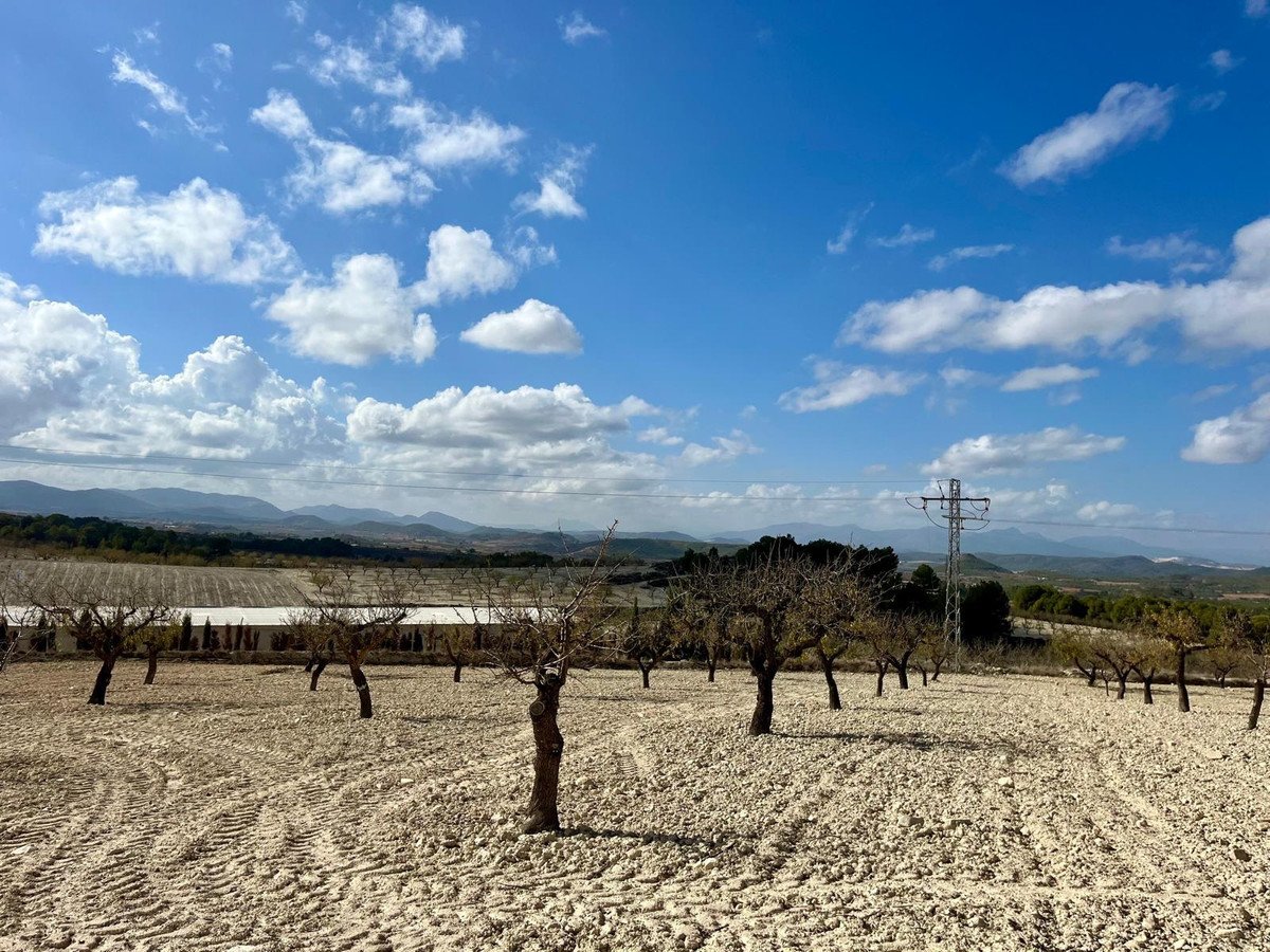 Land in Bullas