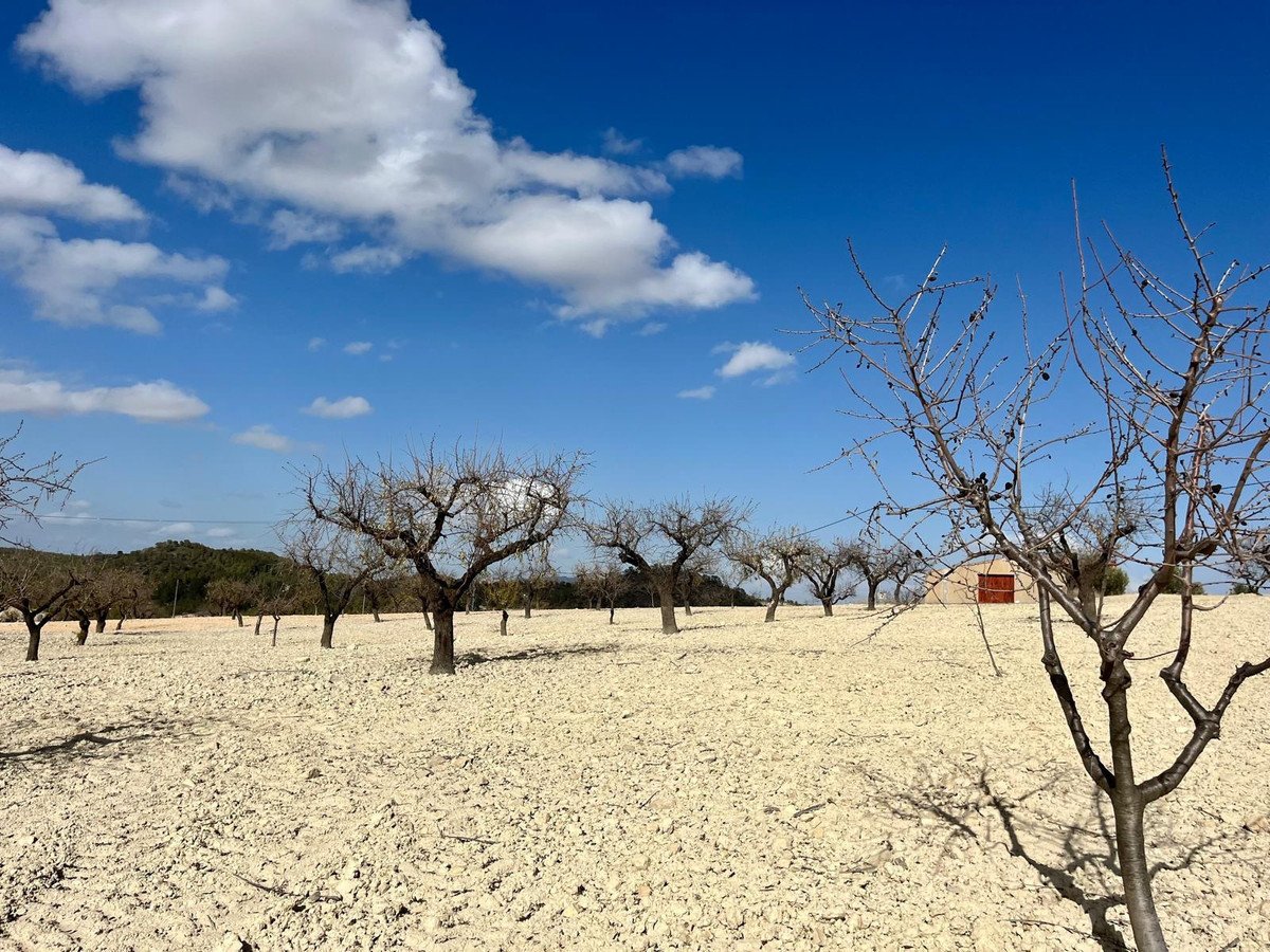 Land in Bullas