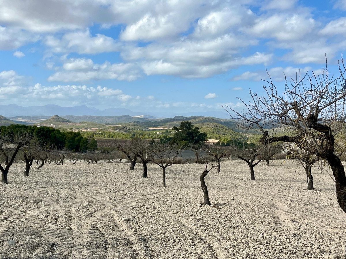Land in Bullas