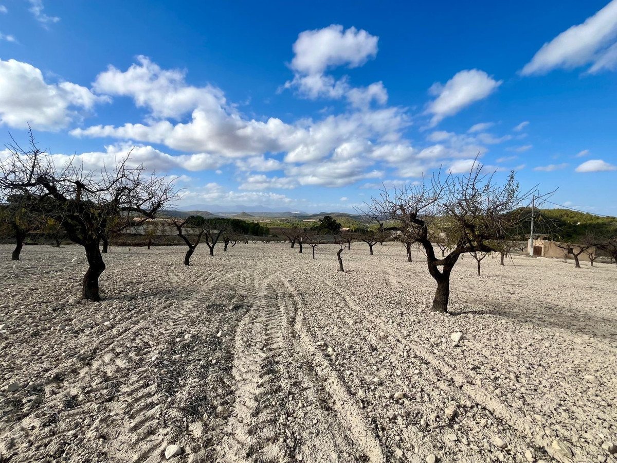 Land in Bullas