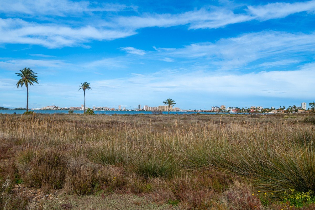 2 Bed Ground Floor Apartment in Playa Honda