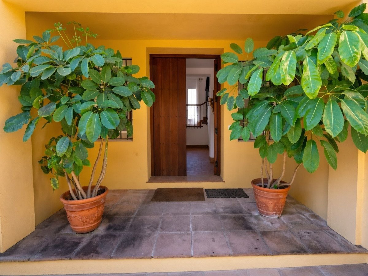 5 Bed Detached Villa in Sotogrande Costa
