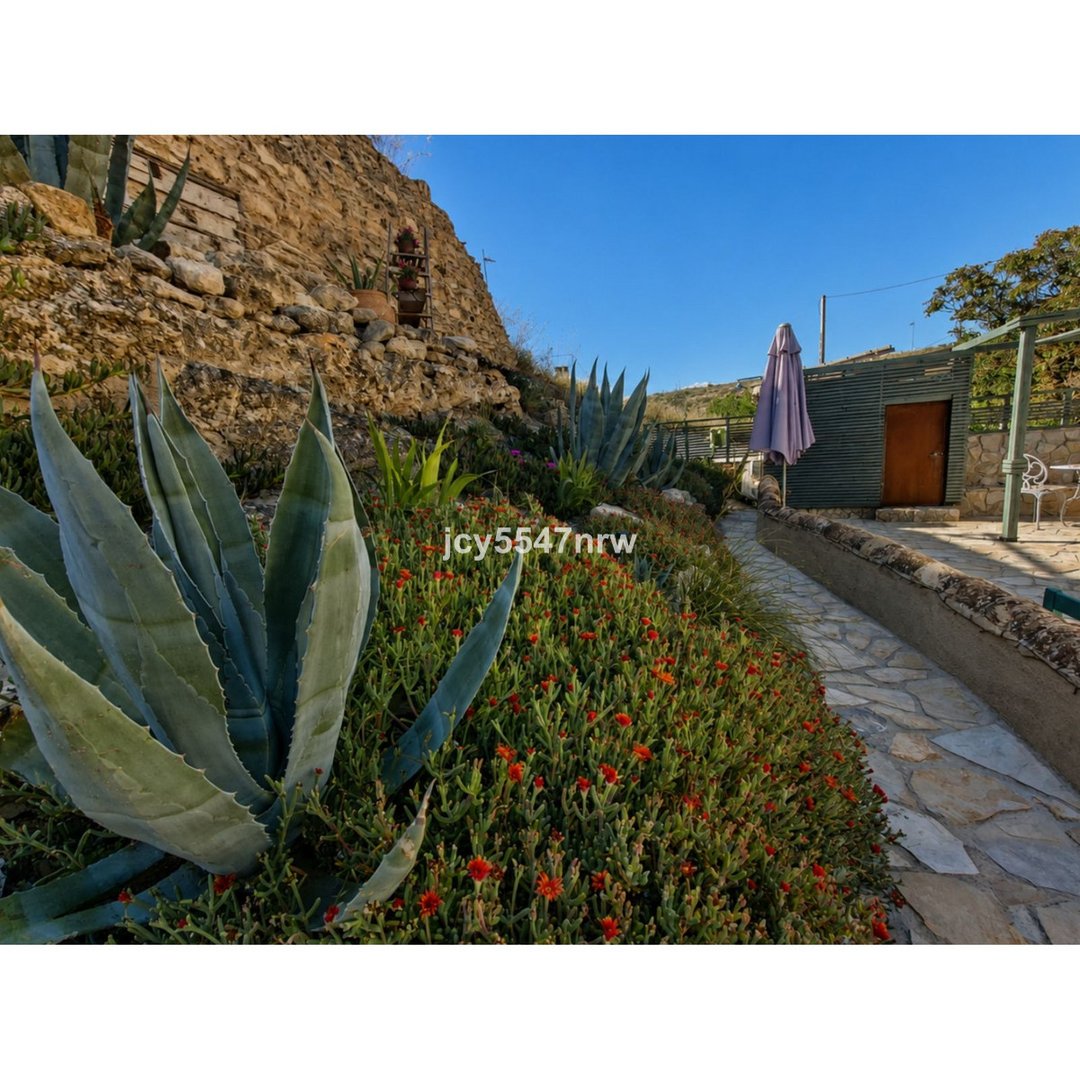 3 Bed Cave House in Galera