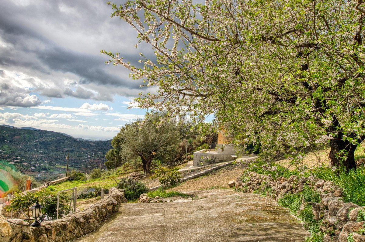 4 Bed Finca - Cortijo in Alcaucín