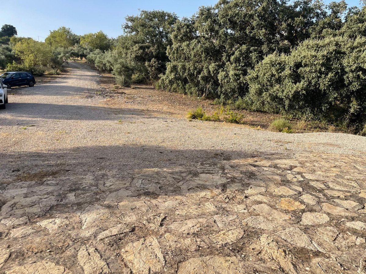 3 Bed Finca - Cortijo in Alfarnate
