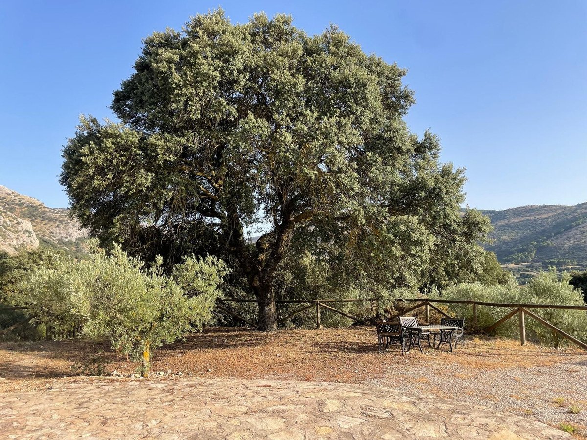 3 Bed Finca - Cortijo in Alfarnate