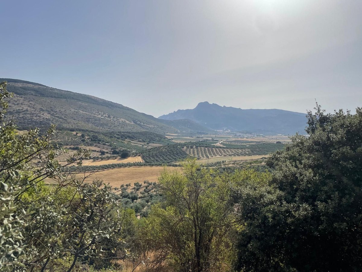 3 Bed Finca - Cortijo in Alfarnate
