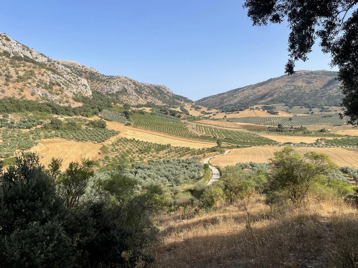 3 Bed Finca - Cortijo in Alfarnate