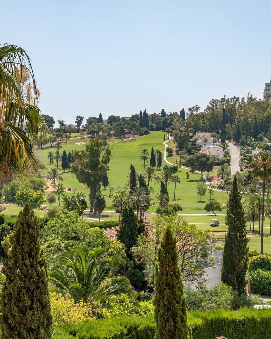 3 Bed Penthouse Duplex in El Paraiso