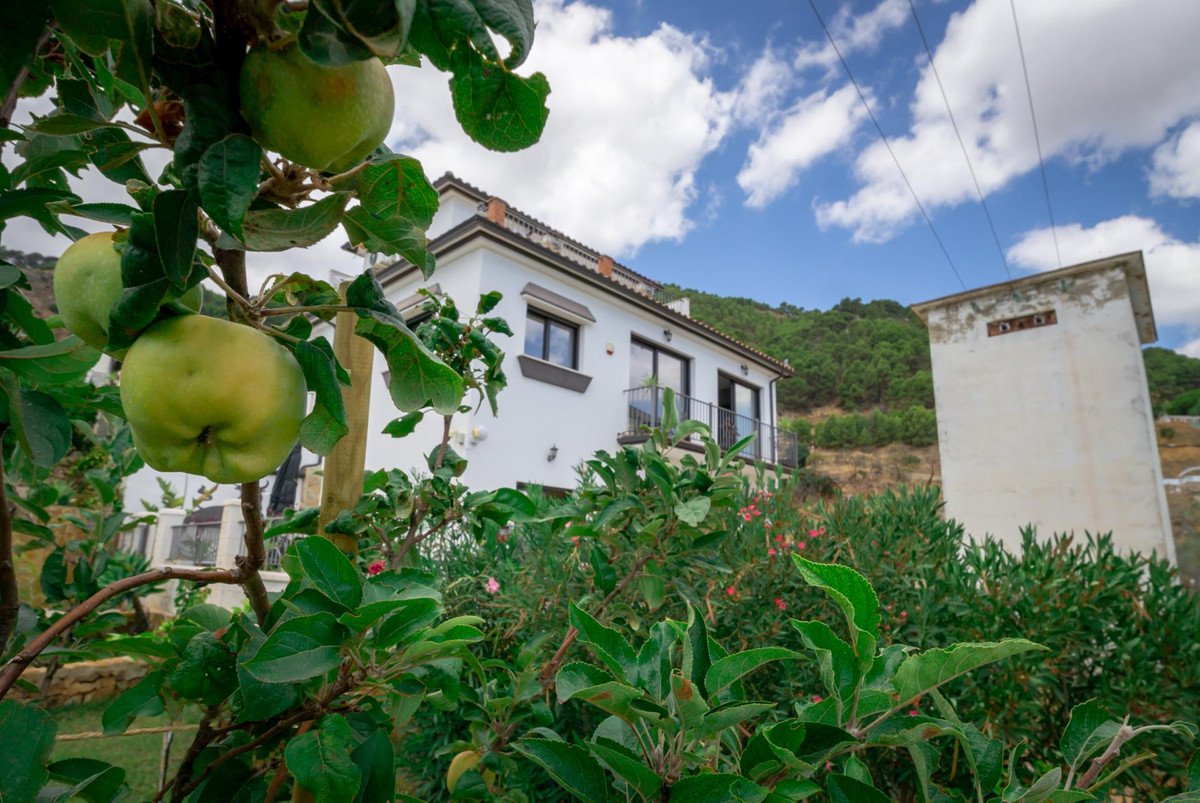 3 Bed Detached Villa in Casarabonela
