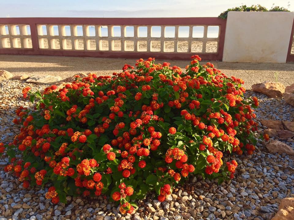 3 Bed New Development in Cartagena