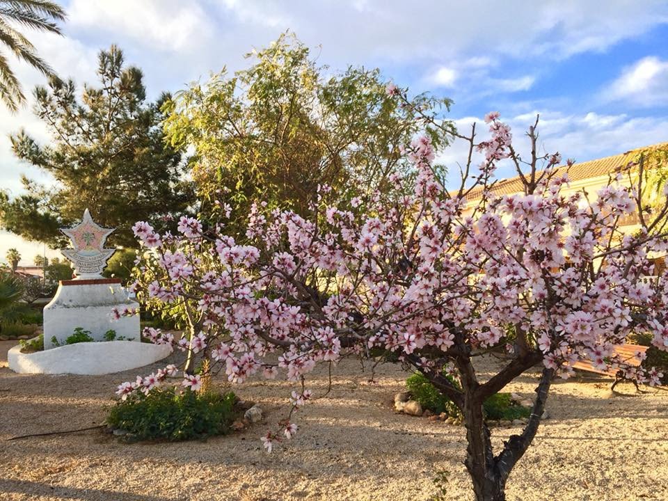 3 Bed New Development in Cartagena