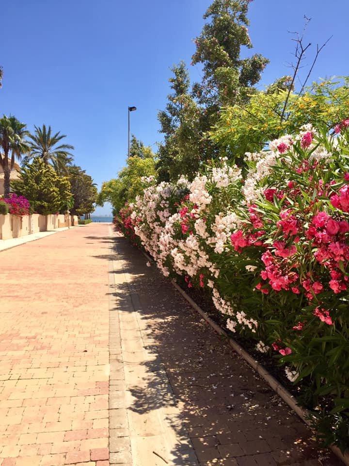 3 Bed New Development in Cartagena