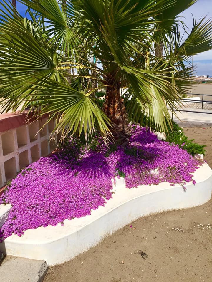3 Bed New Development in Cartagena