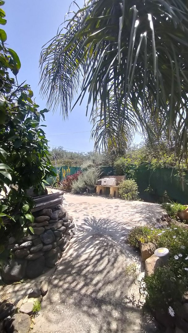 3 Bed Finca - Cortijo in Monda