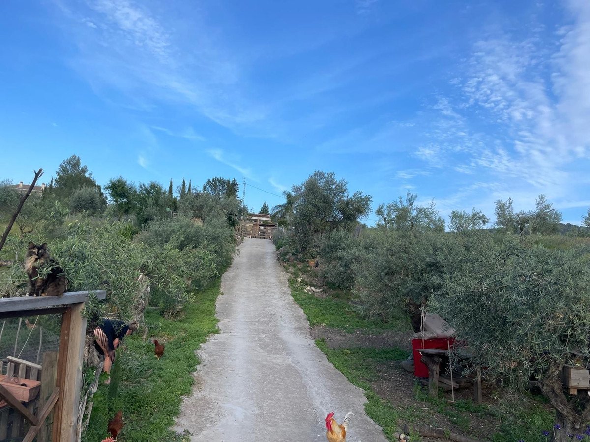 3 Bed Finca - Cortijo in Monda