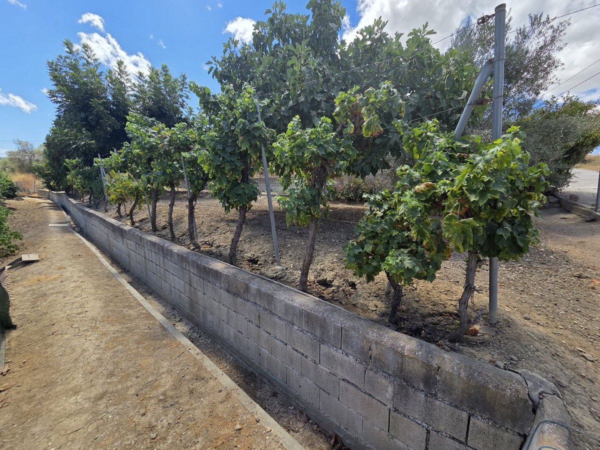 3 Bed Finca - Cortijo in Coín