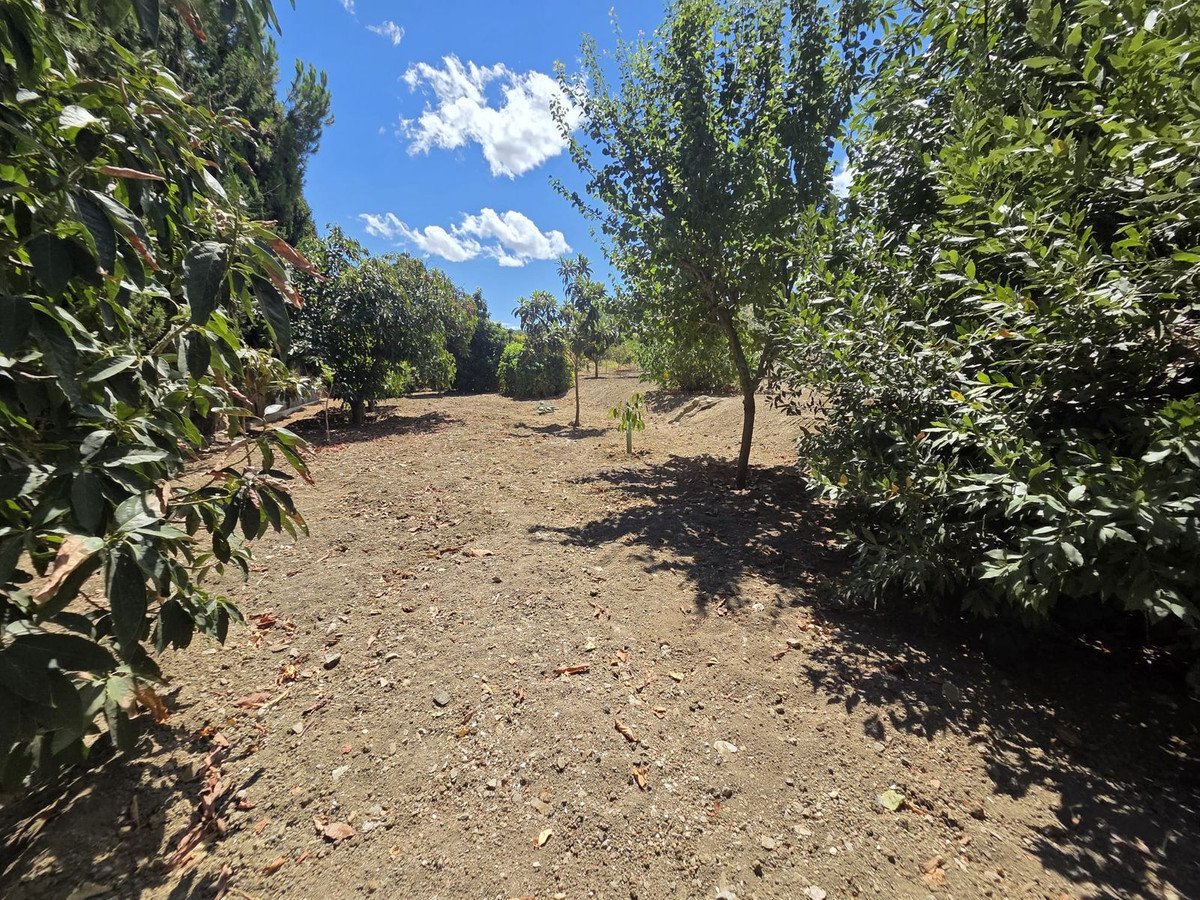 3 Bed Finca - Cortijo in Coín