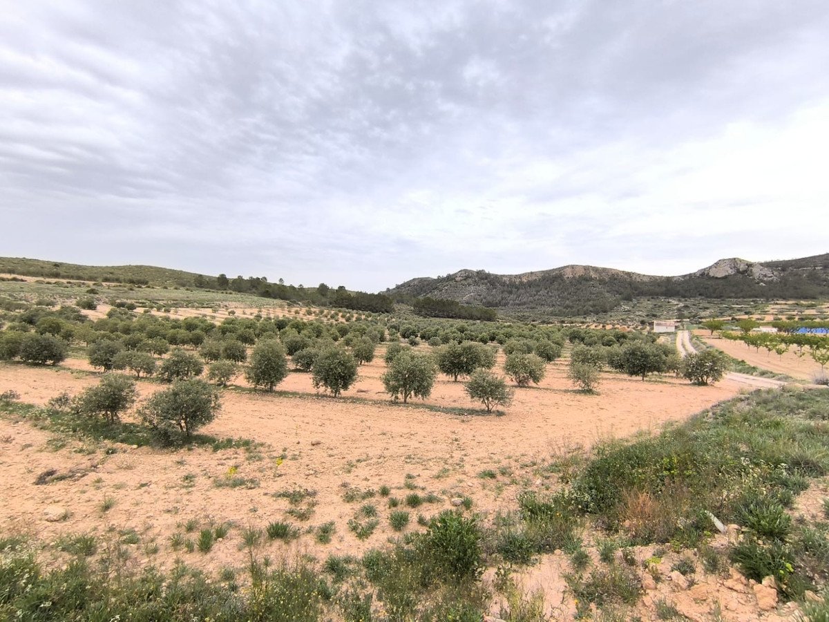 2 Bed Land in Jumilla