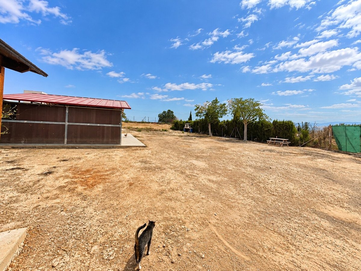 1 Bed Detached Villa in San Fulgencio