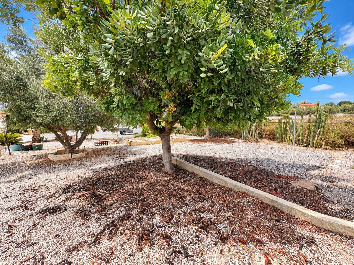 1 Bed Detached Villa in San Fulgencio