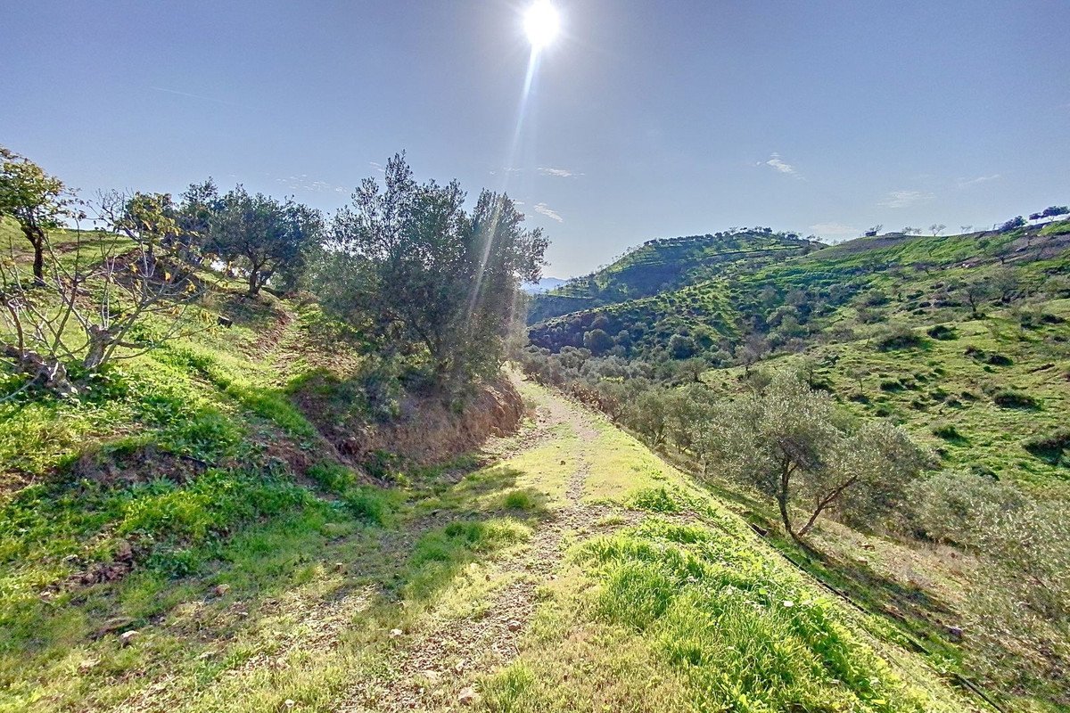 6 Bed Finca - Cortijo in Pizarra