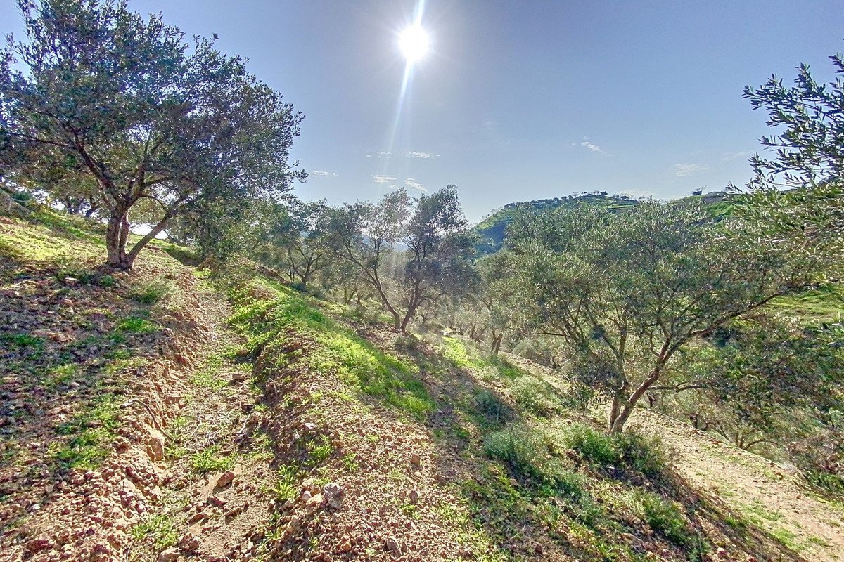 6 Bed Finca - Cortijo in Pizarra