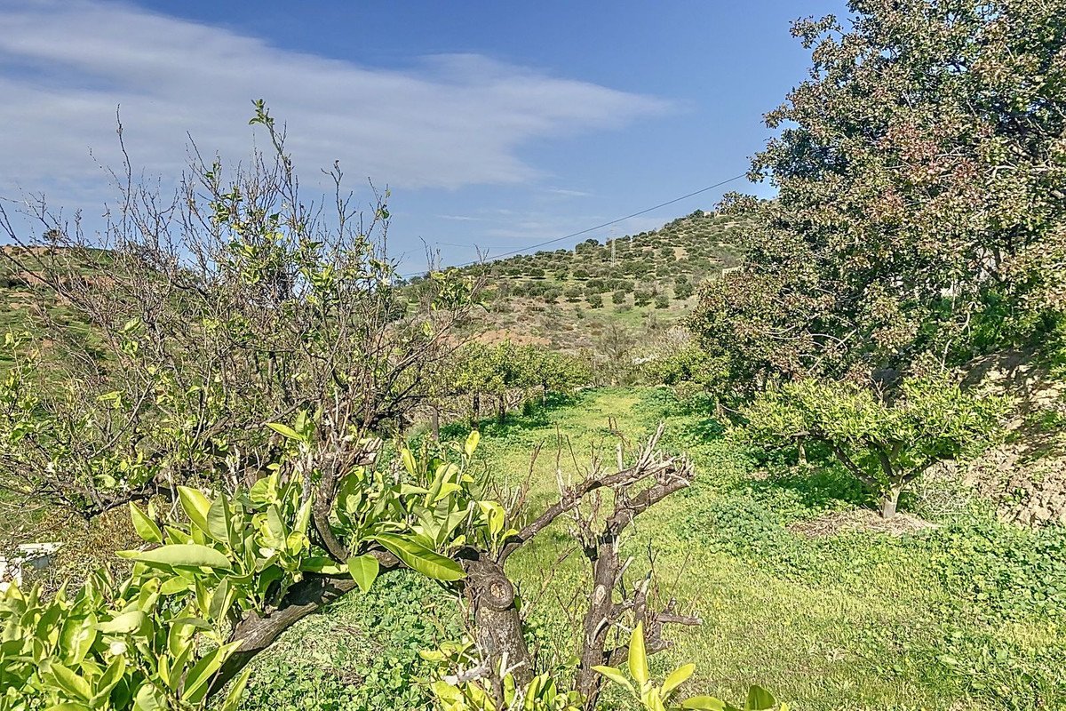 6 Bed Finca - Cortijo in Pizarra