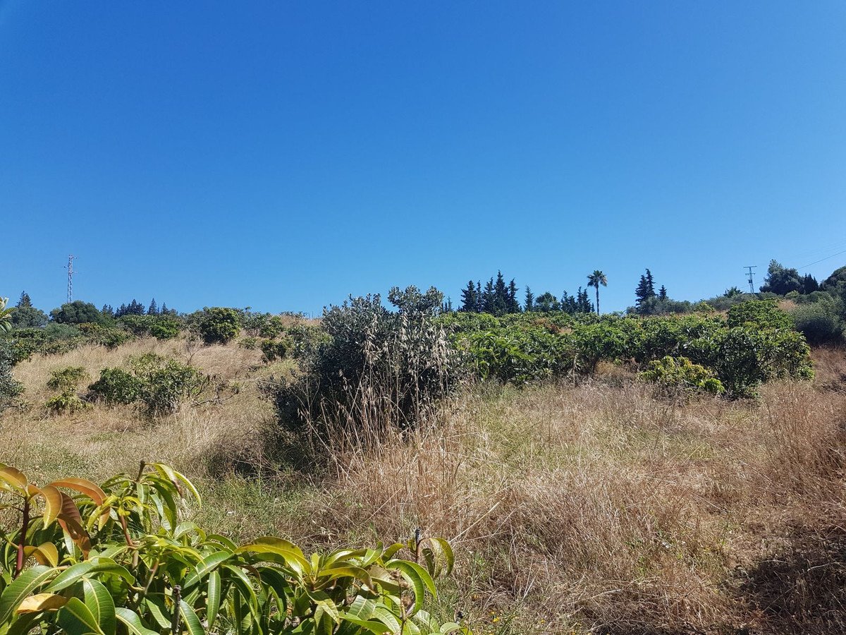 2 Bed Finca - Cortijo in Estepona