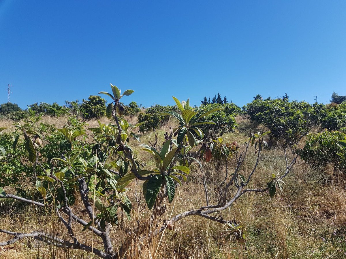 2 Bed Finca - Cortijo in Estepona