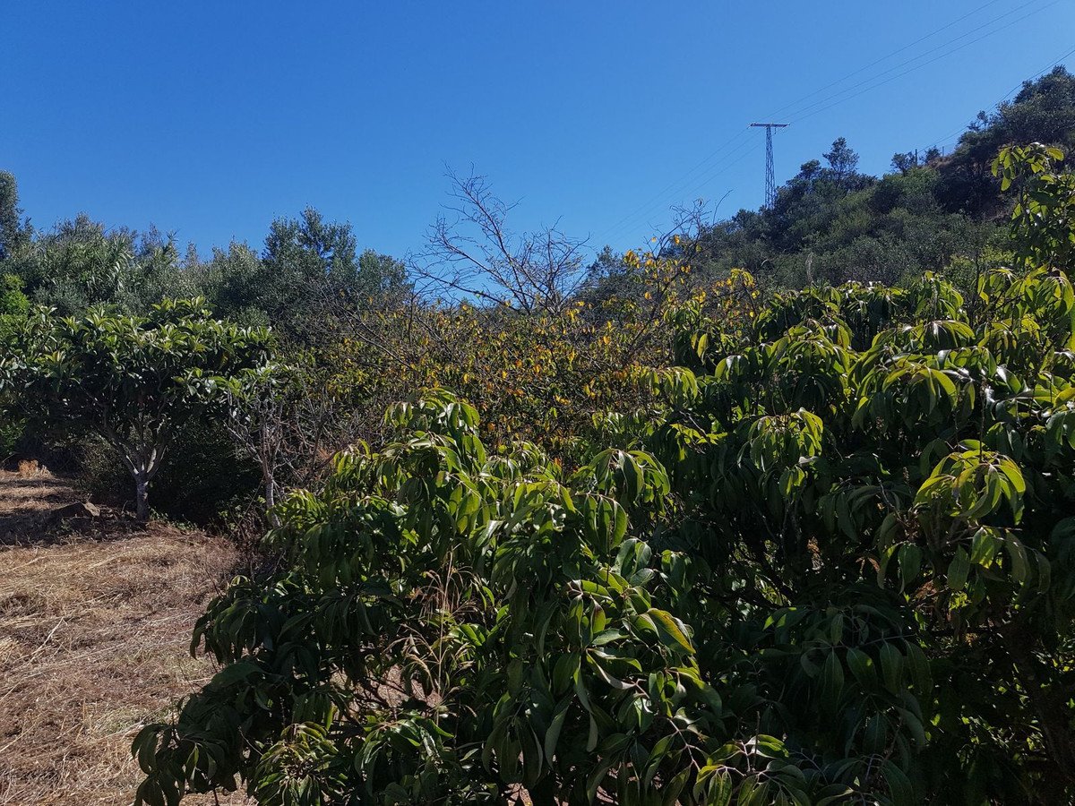 2 Bed Finca - Cortijo in Estepona