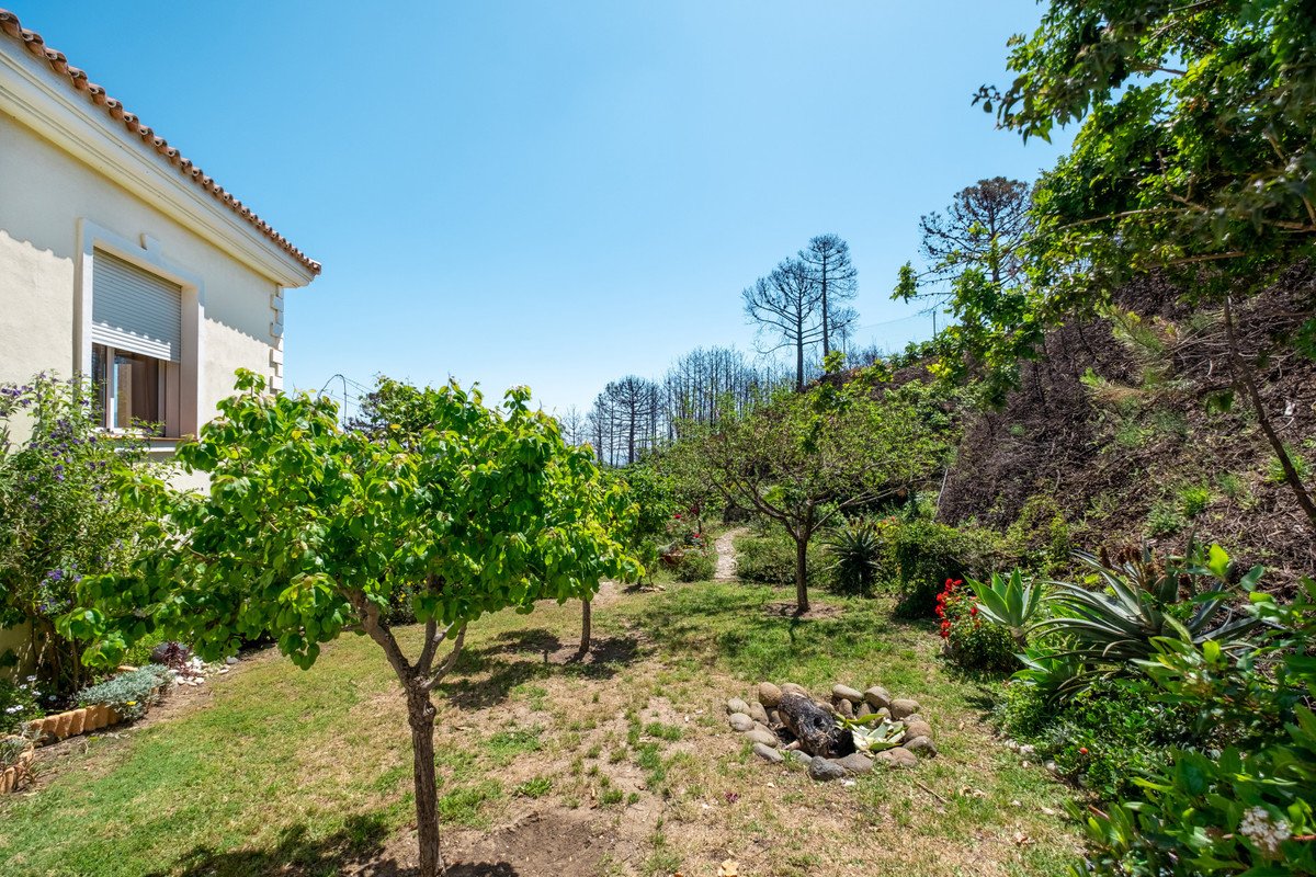 7 Bed Finca - Cortijo in Estepona