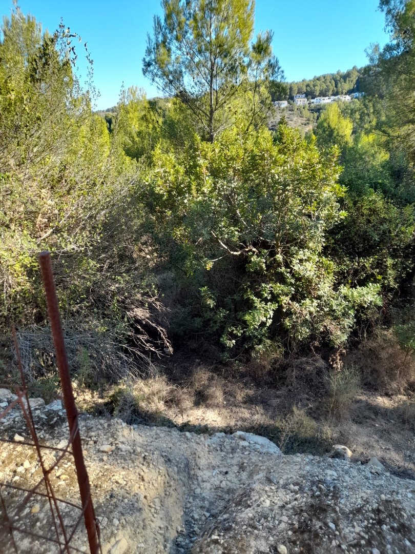 Land in Benidoleig