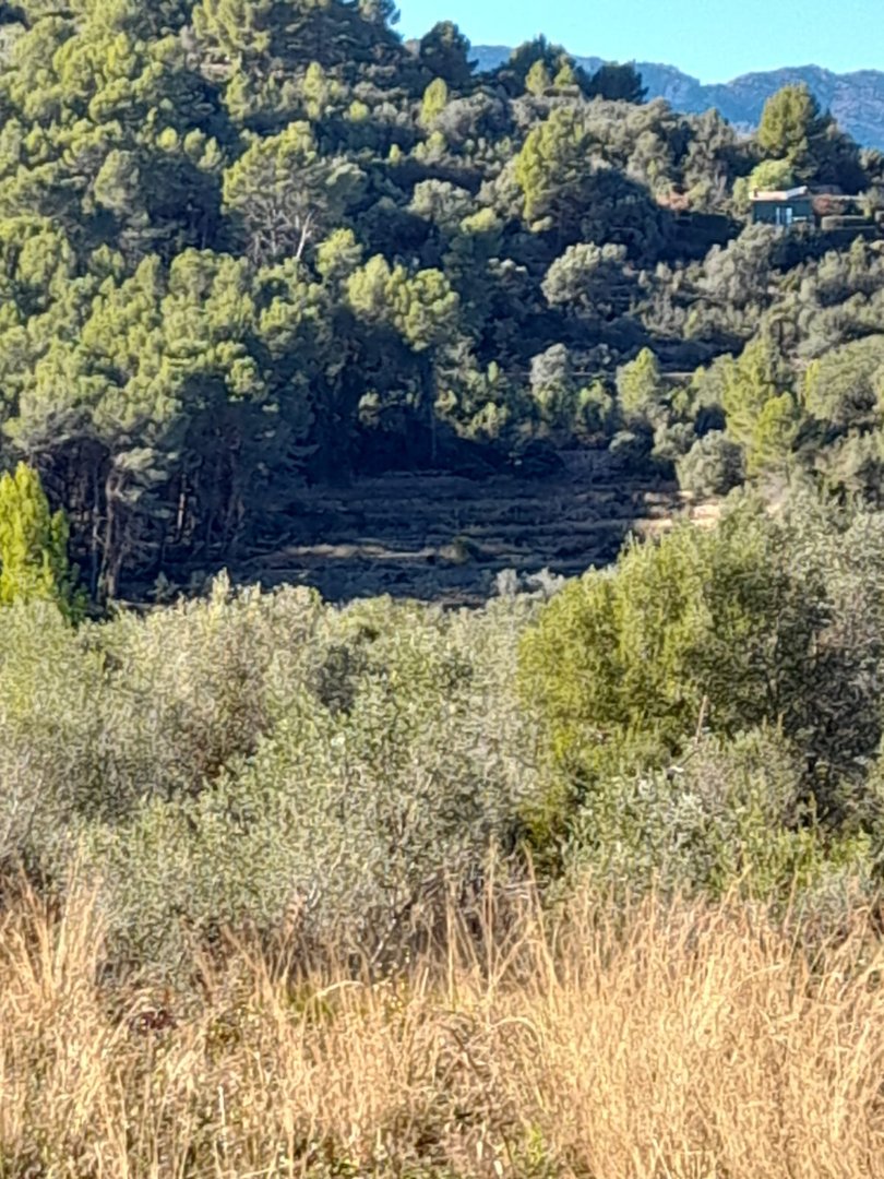 Land in Benidoleig