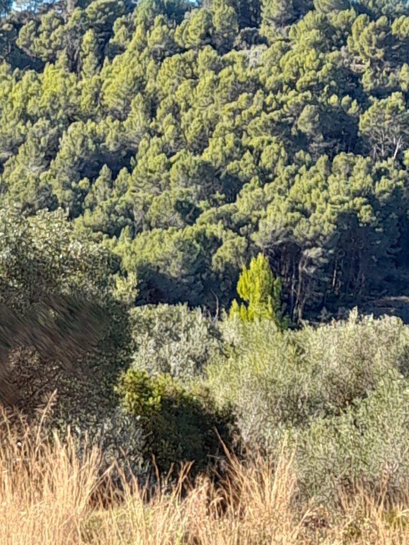 Land in Benidoleig