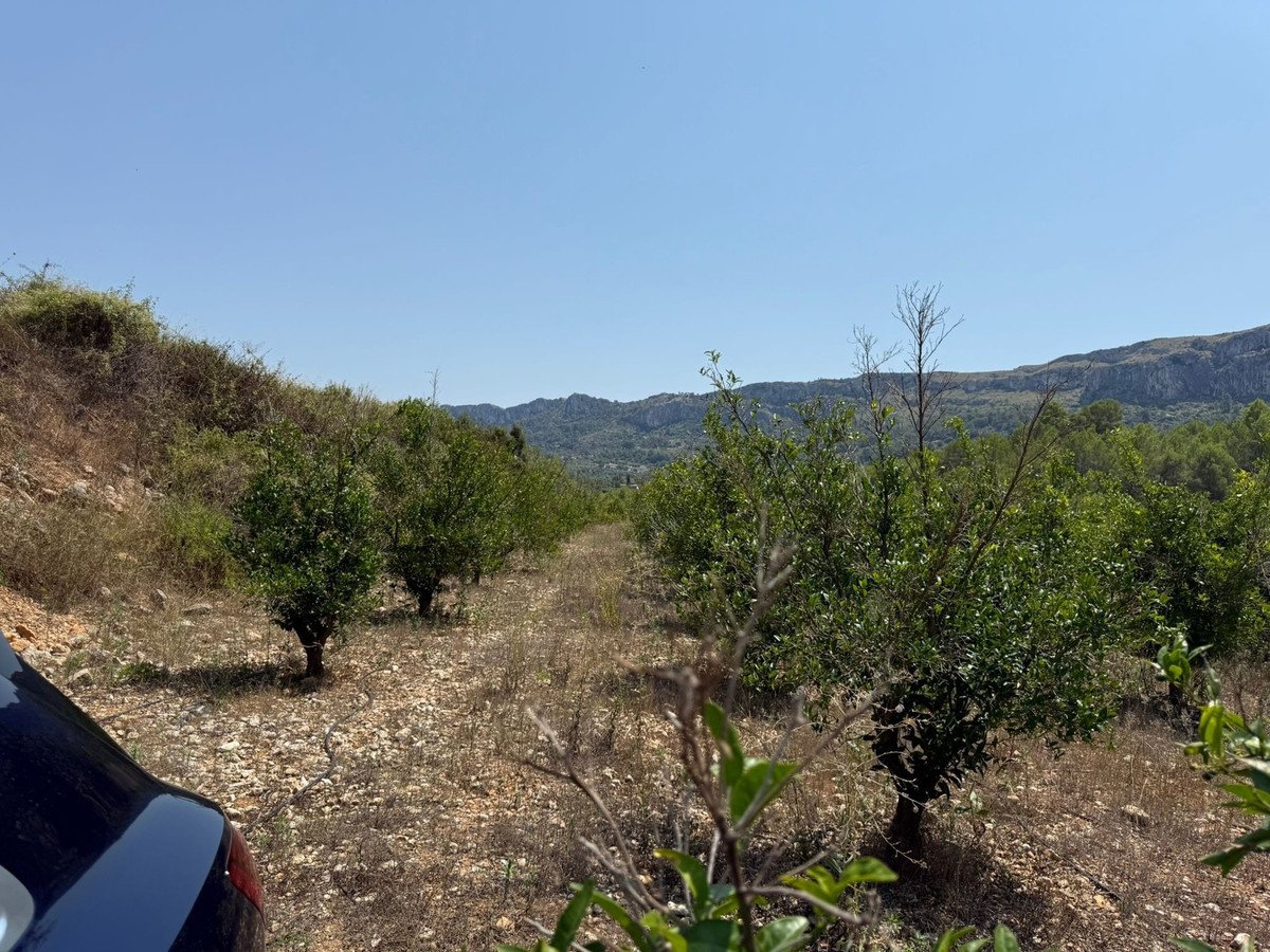 Land in Beniali