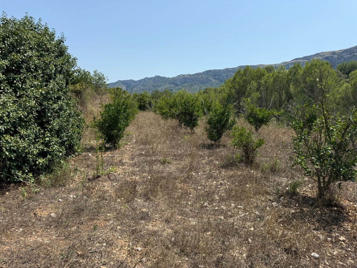 Land in Beniali