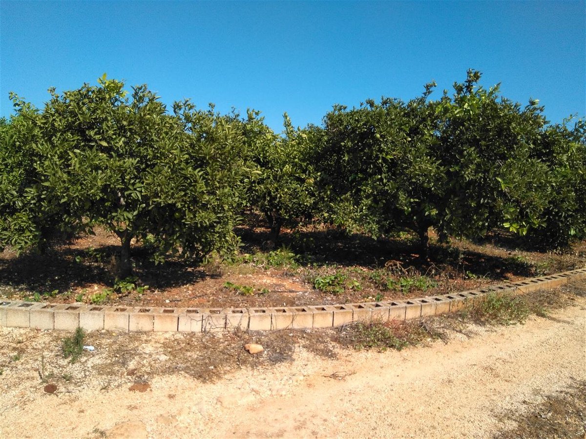 Land in Ondara