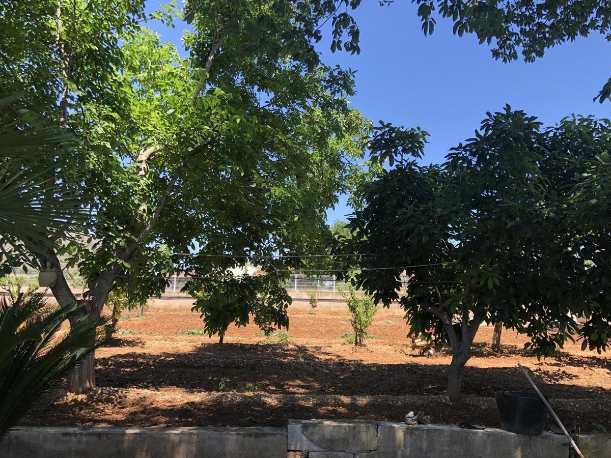 2 Bed Finca - Cortijo in Ondara