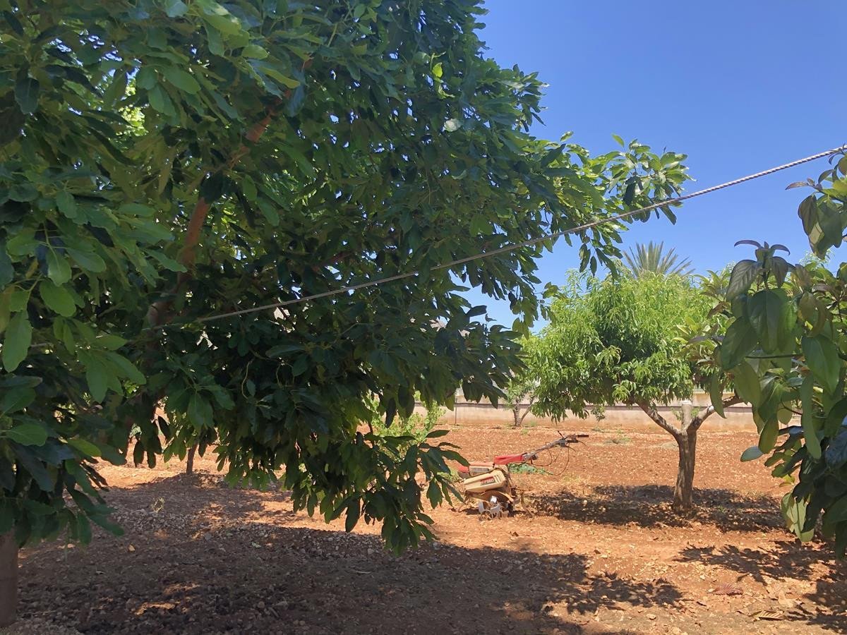 2 Bed Finca - Cortijo in Ondara