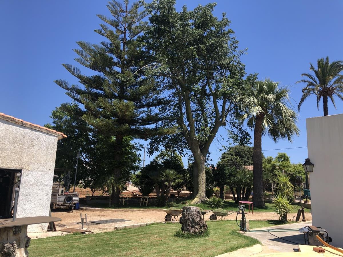 2 Bed Finca - Cortijo in Ondara
