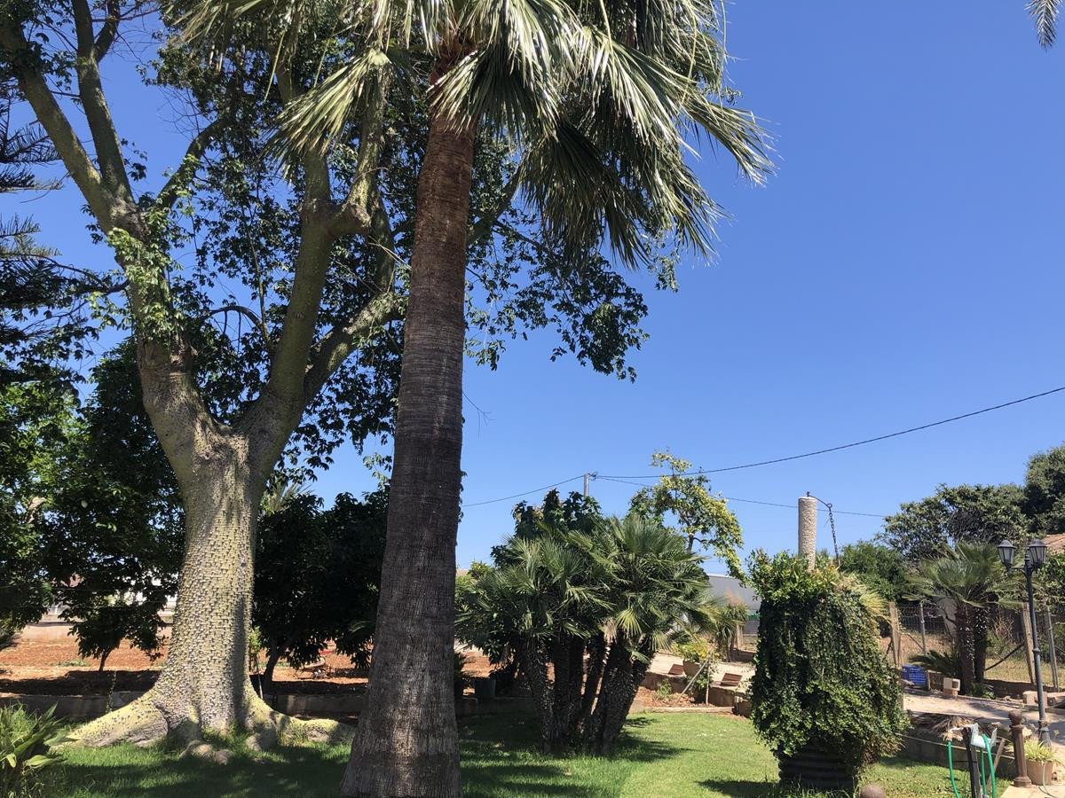 2 Bed Finca - Cortijo in Ondara