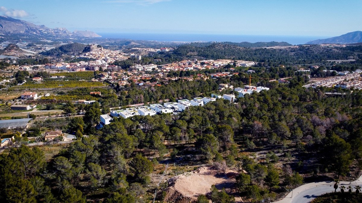 VL486558