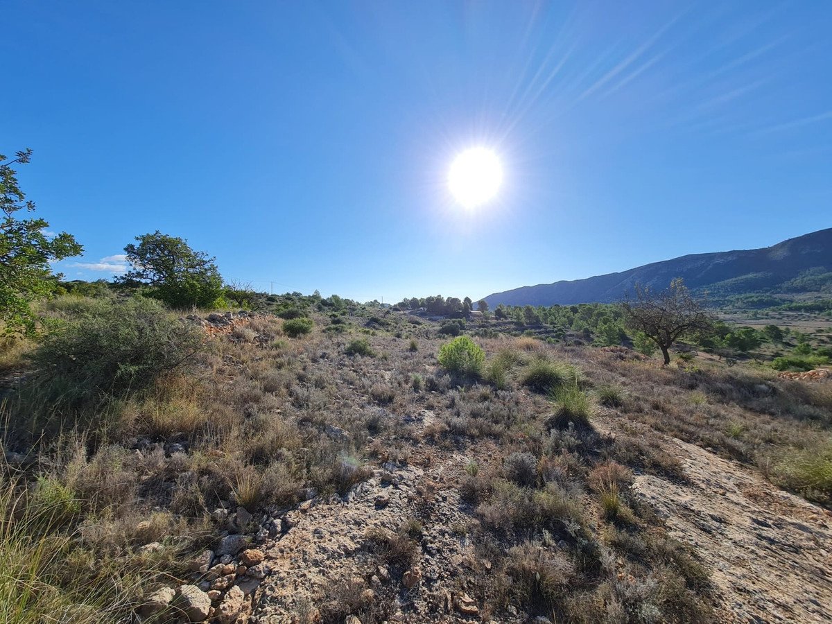 Land in La Romana